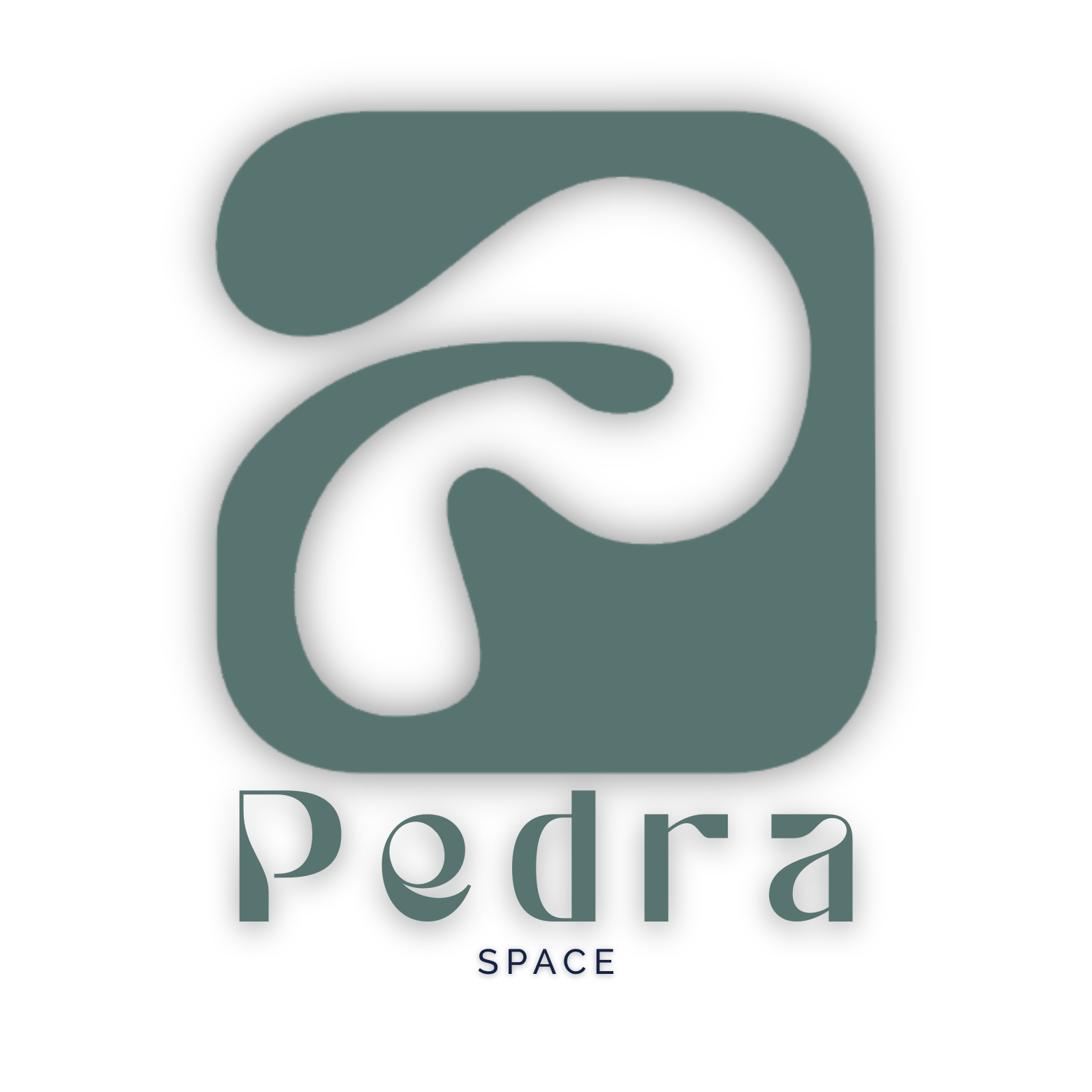 Logo Pedra Space
